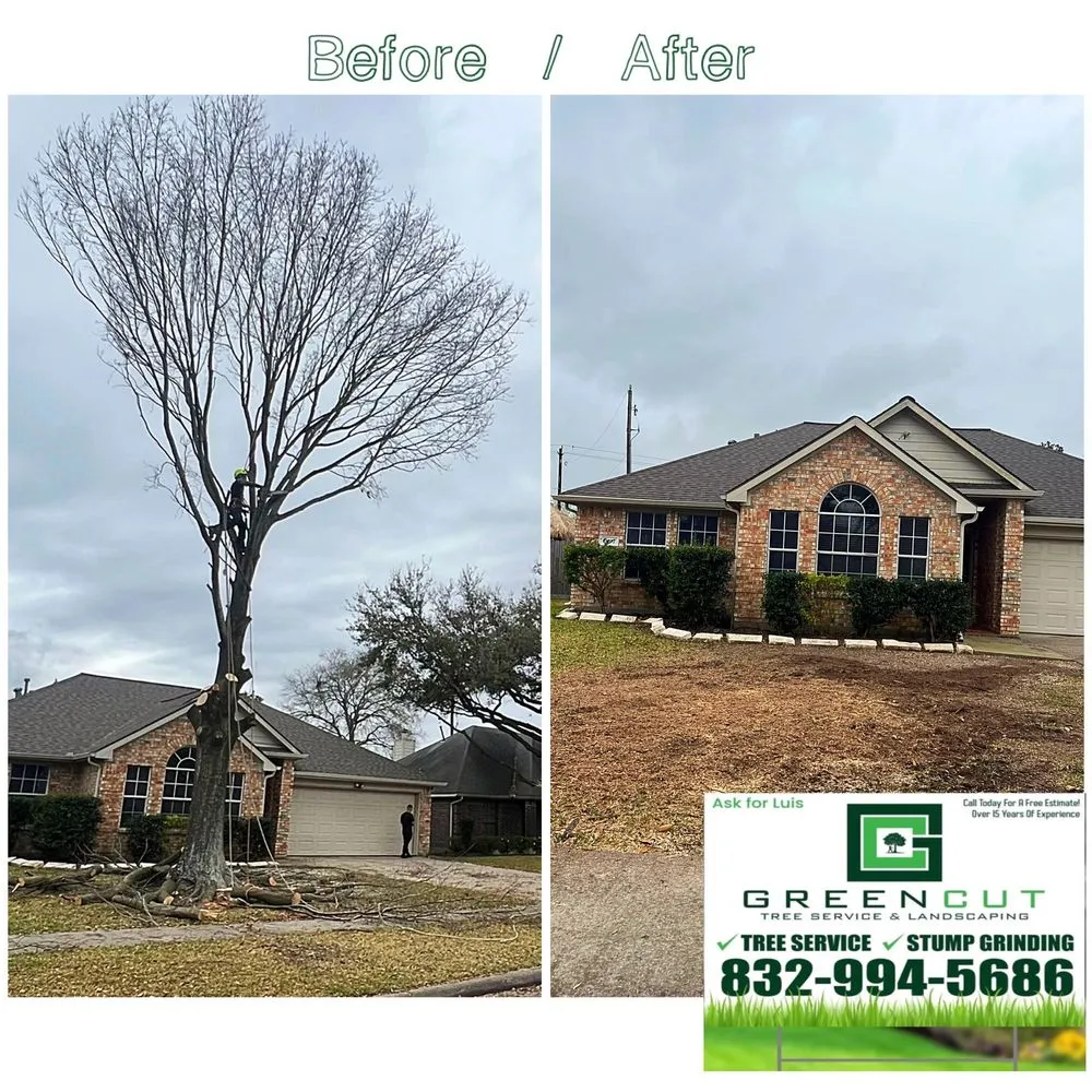 Professional lawn care service experts serving Pasadena, TX - GREEN CUT Landscaping and Tree Service