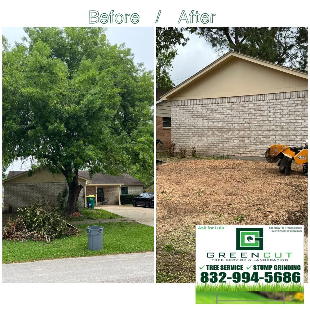 Local residential landscaping in Pasadena, TX by GREEN CUT Landscaping and Tree Service