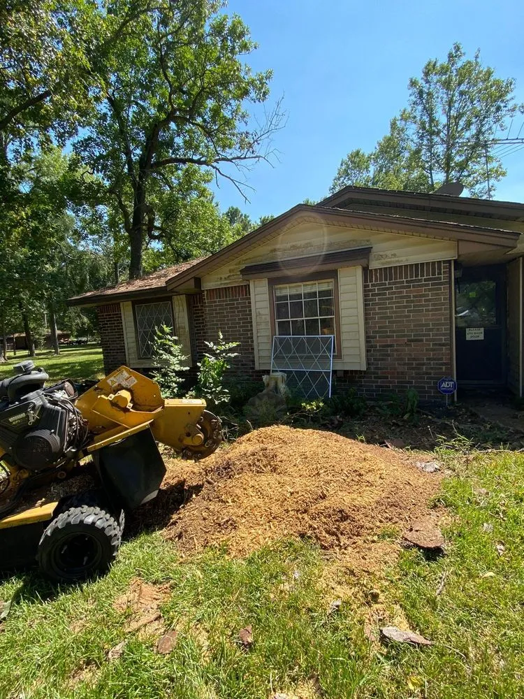 Reliable lawn care service in Pasadena, TX - GREEN CUT Landscaping and Tree Service