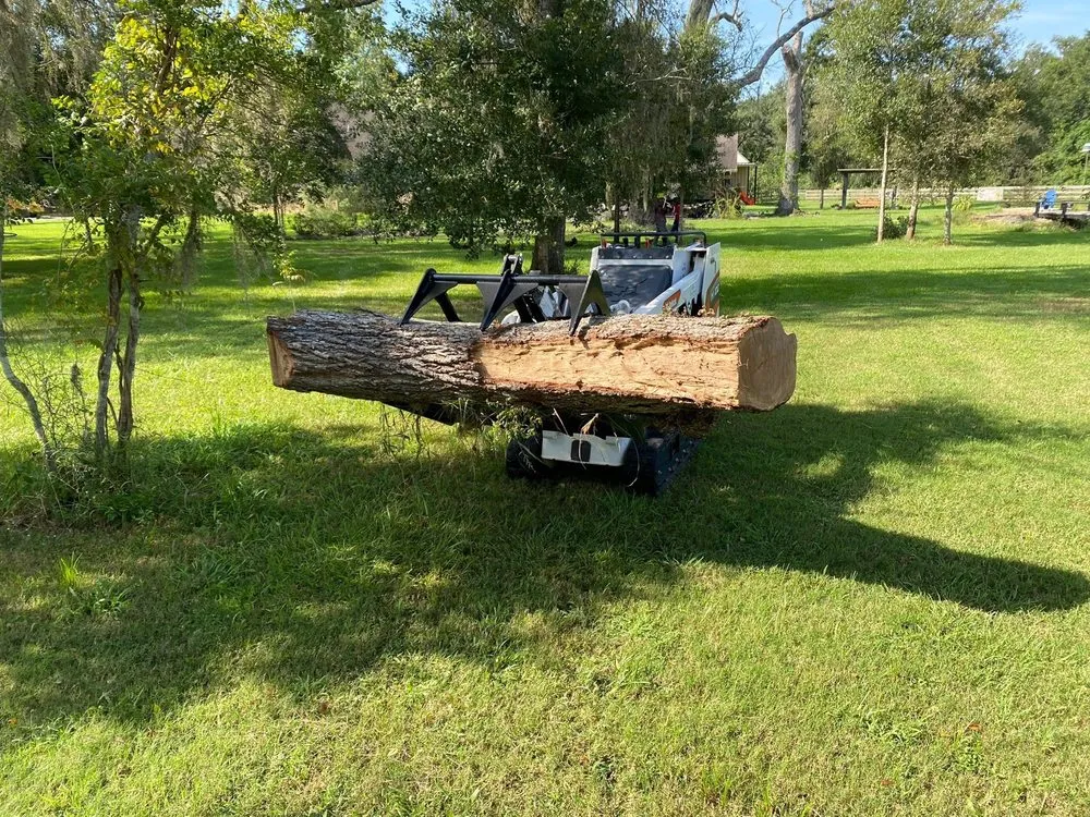 Expert garden landscaping experts serving Pasadena, TX - GREEN CUT Landscaping and Tree Service