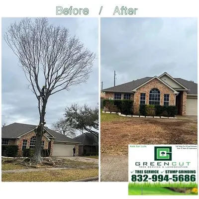 GREEN CUT Landscaping and Tree Service Logo