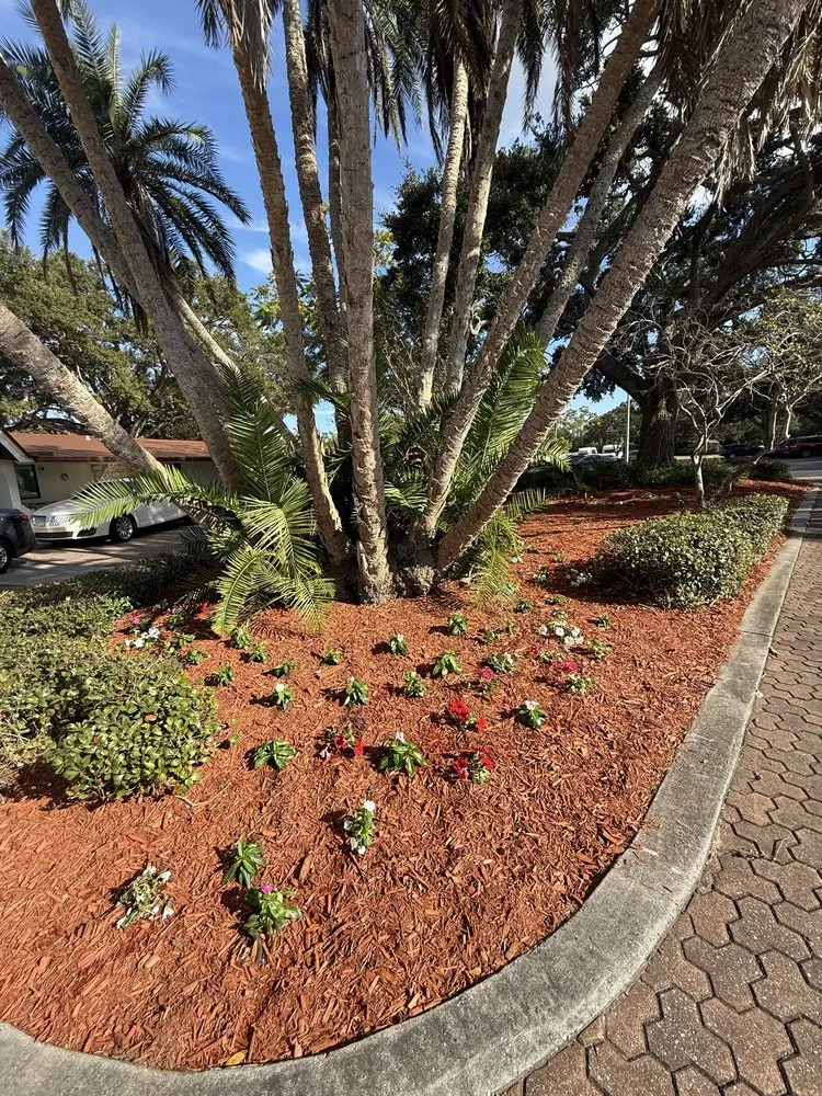 Top-rated yard maintenance with custom design in Saint Petersburg, FL by Green Cut Lawn Care