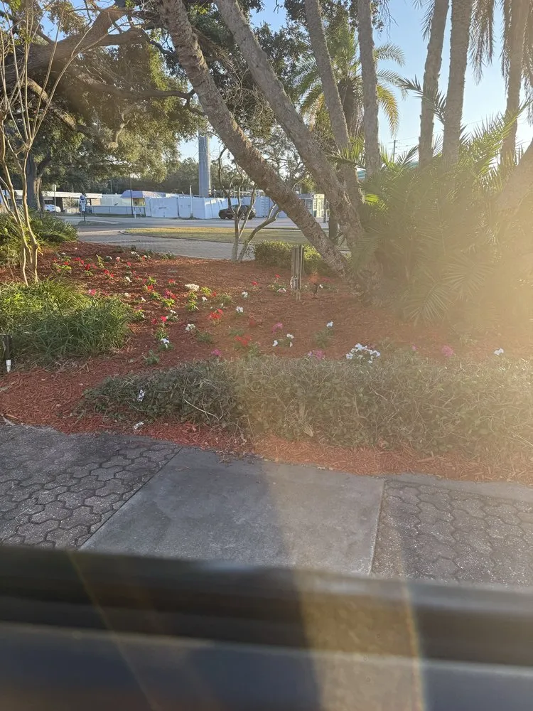 Expert landscape installation in Saint Petersburg, FL - Green Cut Lawn Care