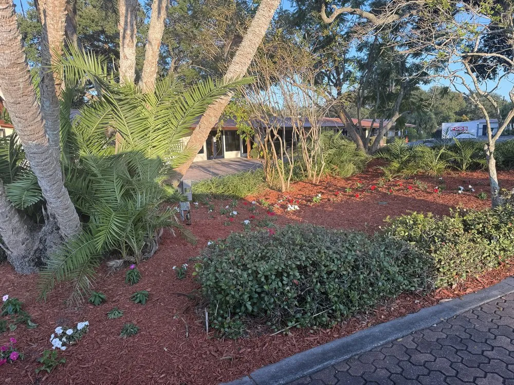 Local outdoor landscaping experts serving Saint Petersburg, FL - Green Cut Lawn Care