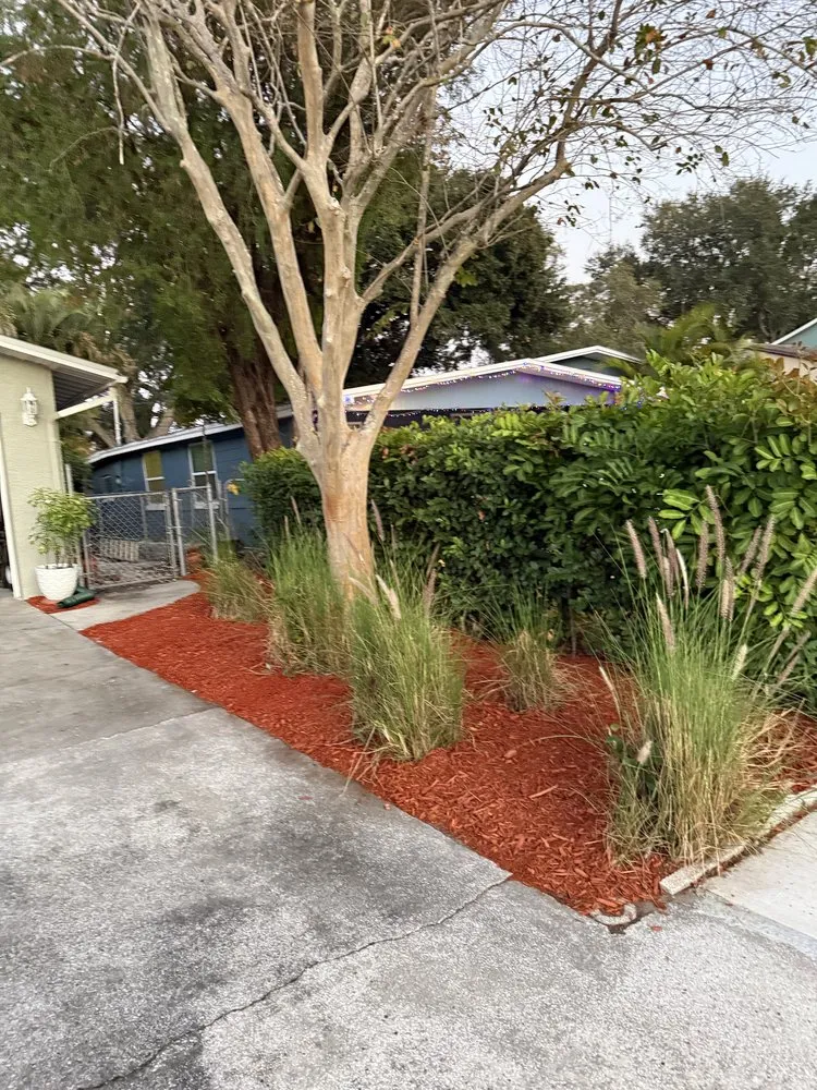Trusted yard cleanup service in Saint Petersburg, FL by Green Cut Lawn Care