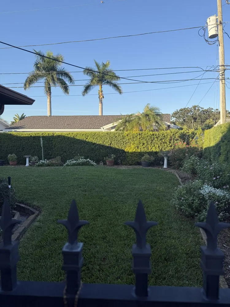 Reliable landscaping services in Saint Petersburg, FL by Green Cut Lawn Care