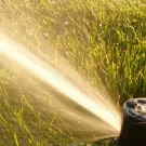 Professional yard cleanup service in Rocky Face, GA - Green Cut Outdoor Services