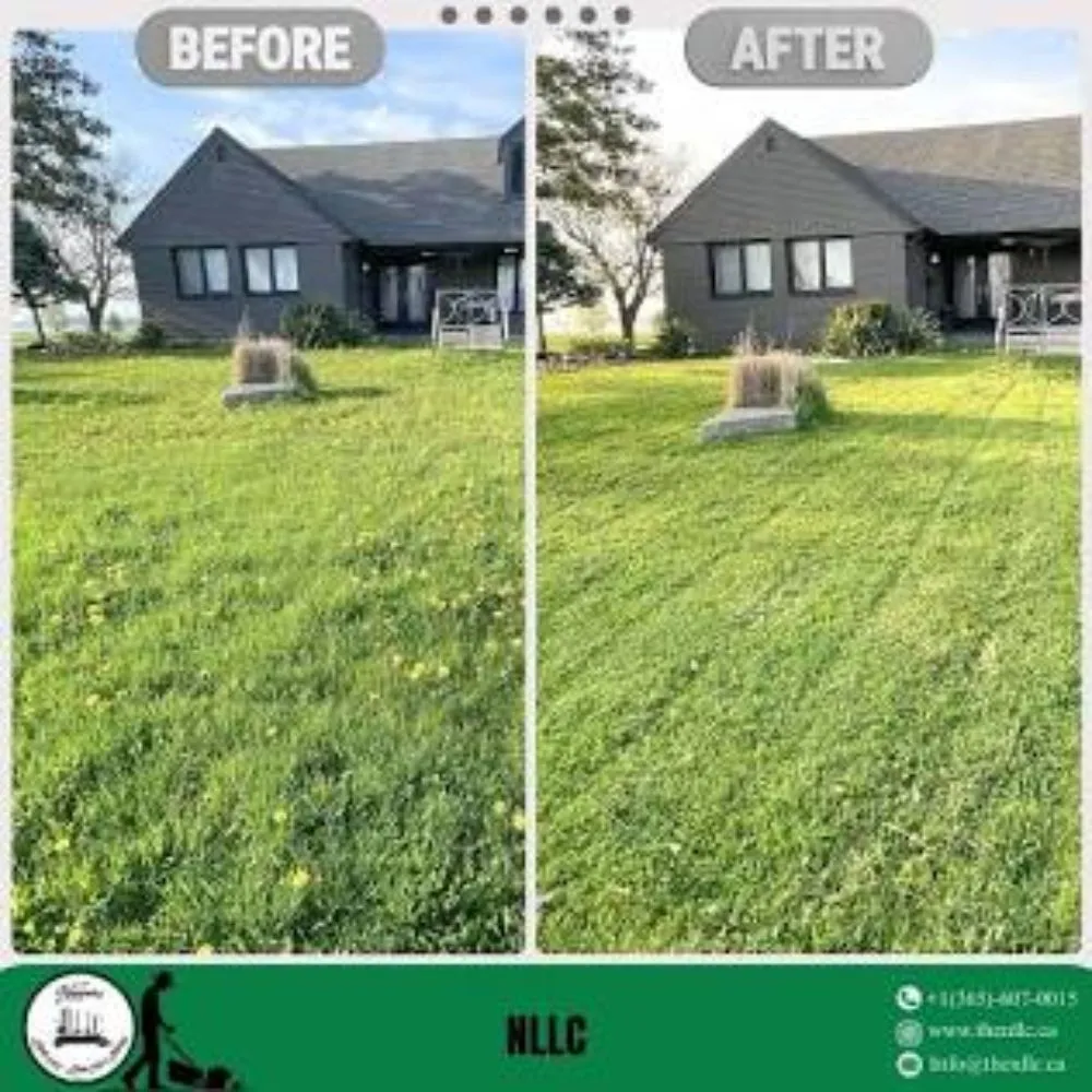 Reliable outdoor landscaping with custom design across Greenville, NC - Green Cuts