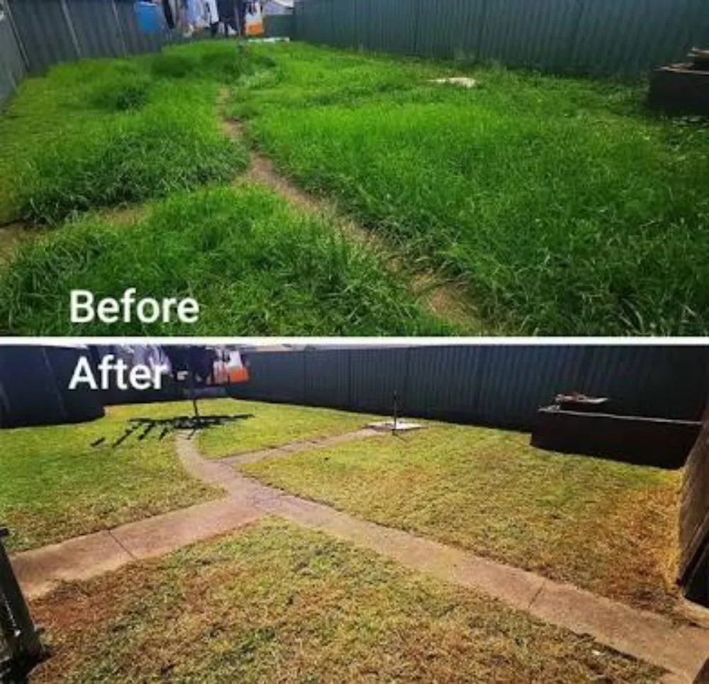 Custom lawn care service for residential properties across Greenville, NC - Green Cuts