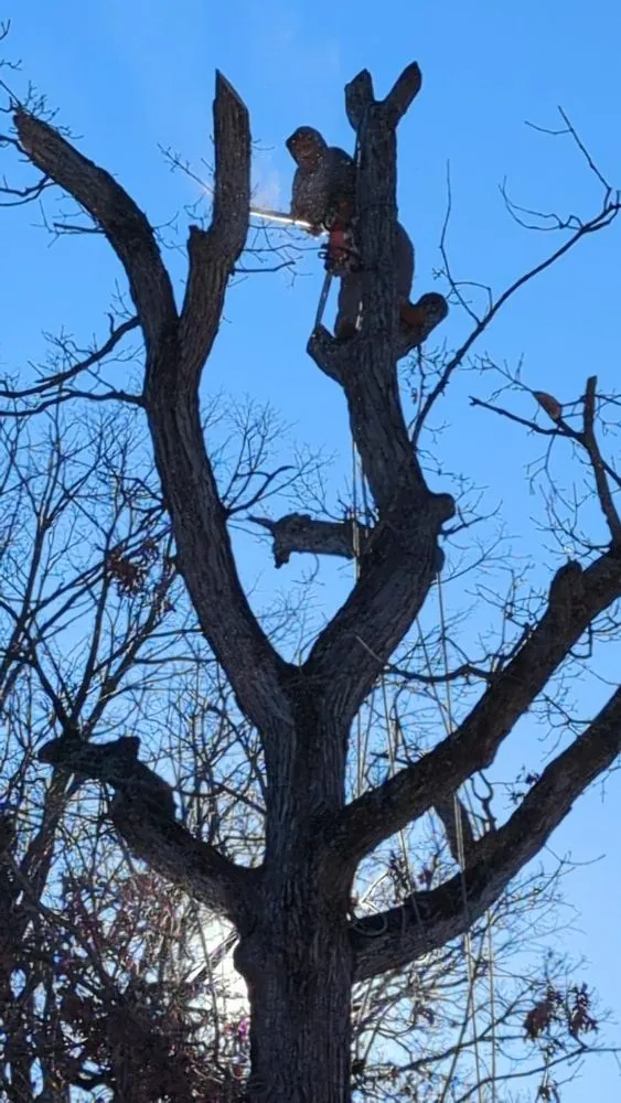 Top-rated yard cleanup service for homes across Lake Geneva, WI - Green Cuts Landscaping