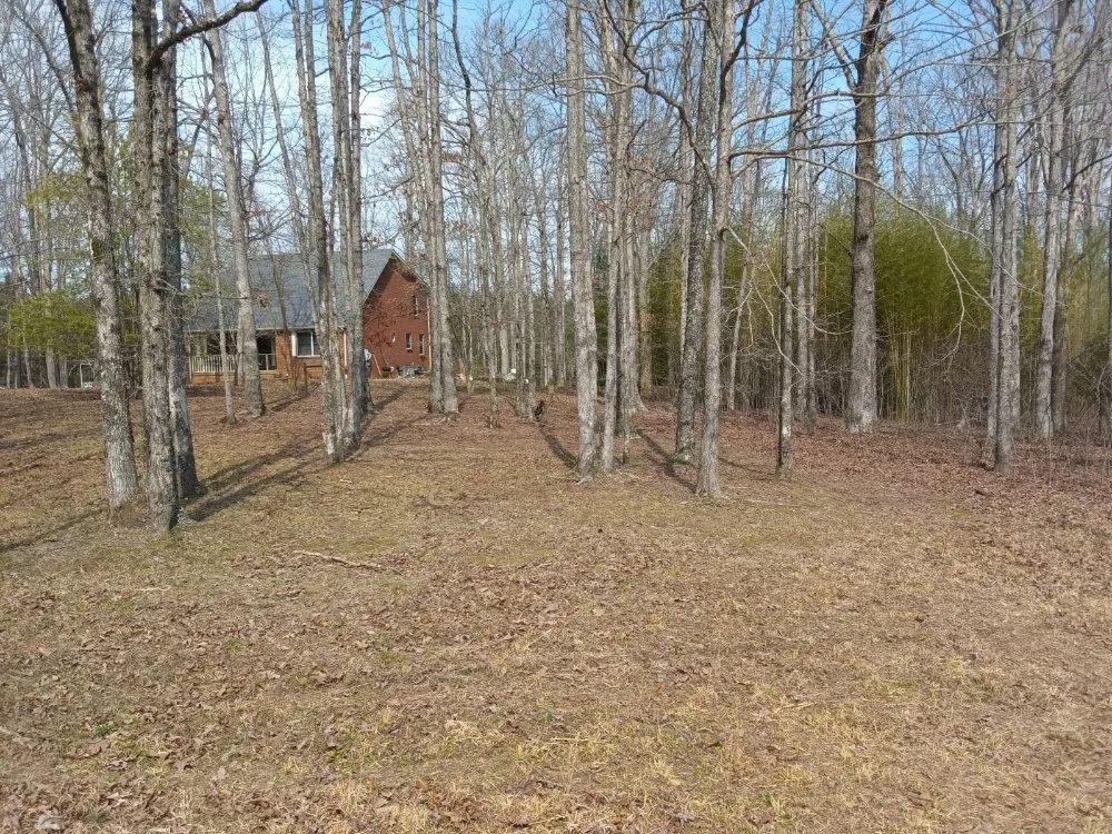 Reliable lawn mowing service in Dickson, TN - Green Cuts Mowing