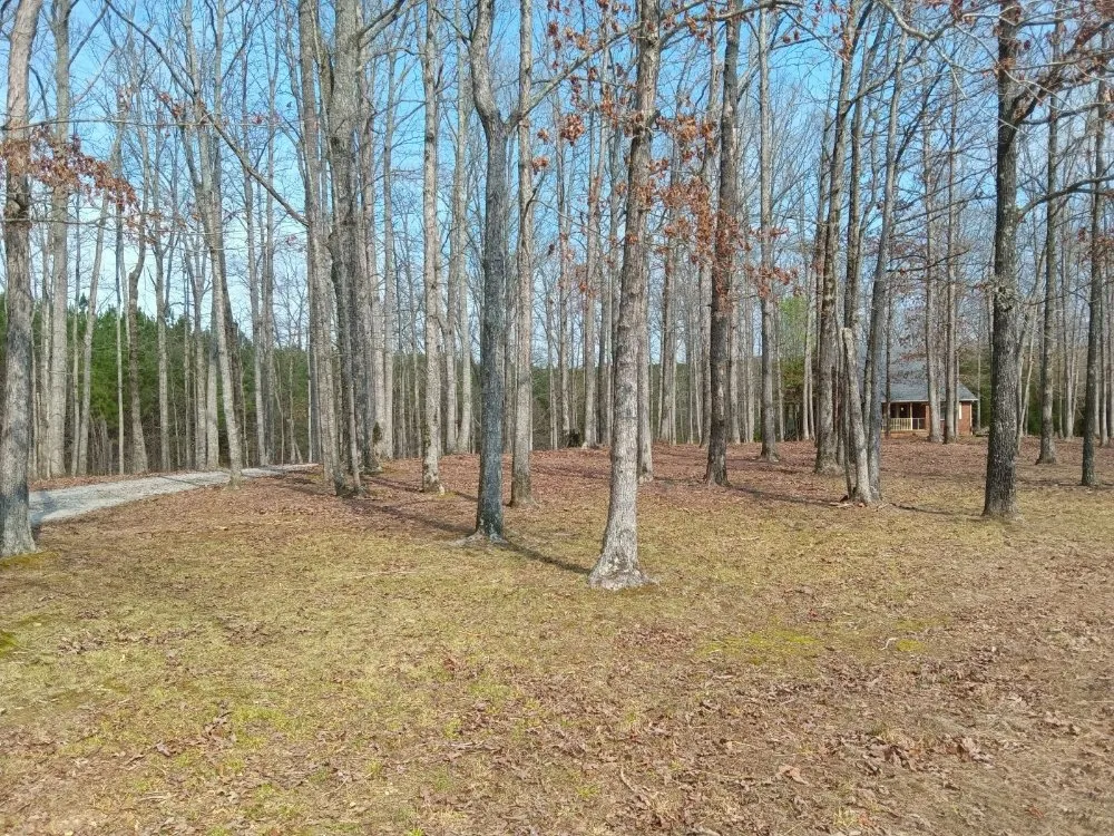 Expert residential landscaping in Dickson, TN by Green Cuts Mowing