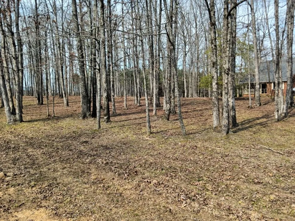 Custom yard maintenance experts serving Dickson, TN - Green Cuts Mowing