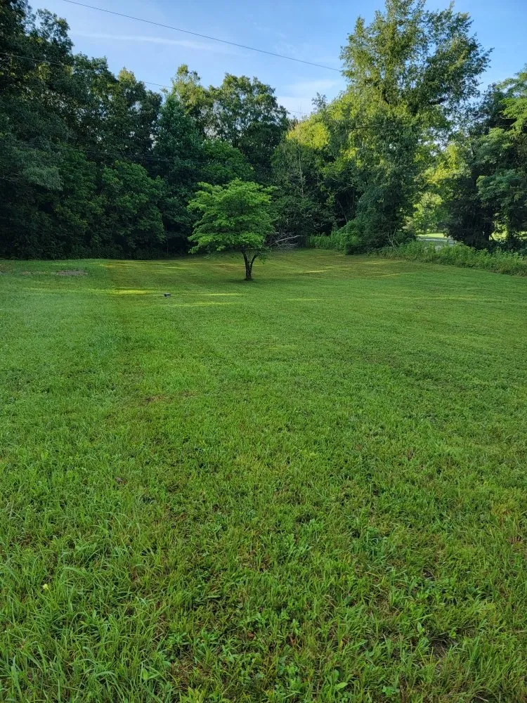 Custom landscape installation in Dickson, TN - Green Cuts Mowing