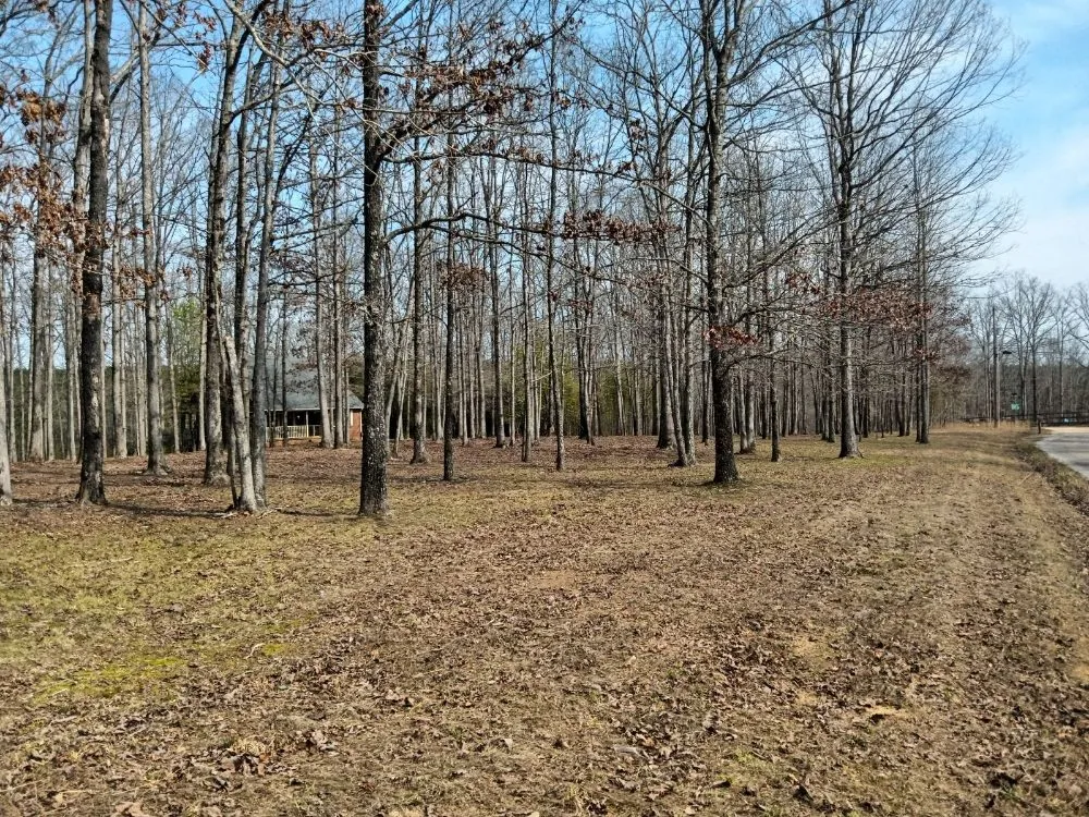 Reliable landscape installation experts serving Dickson, TN - Green Cuts Mowing