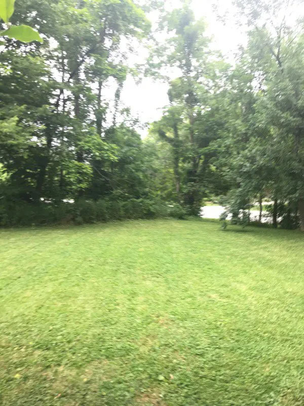 Affordable yard maintenance in Westfield, IN - Green Cutters