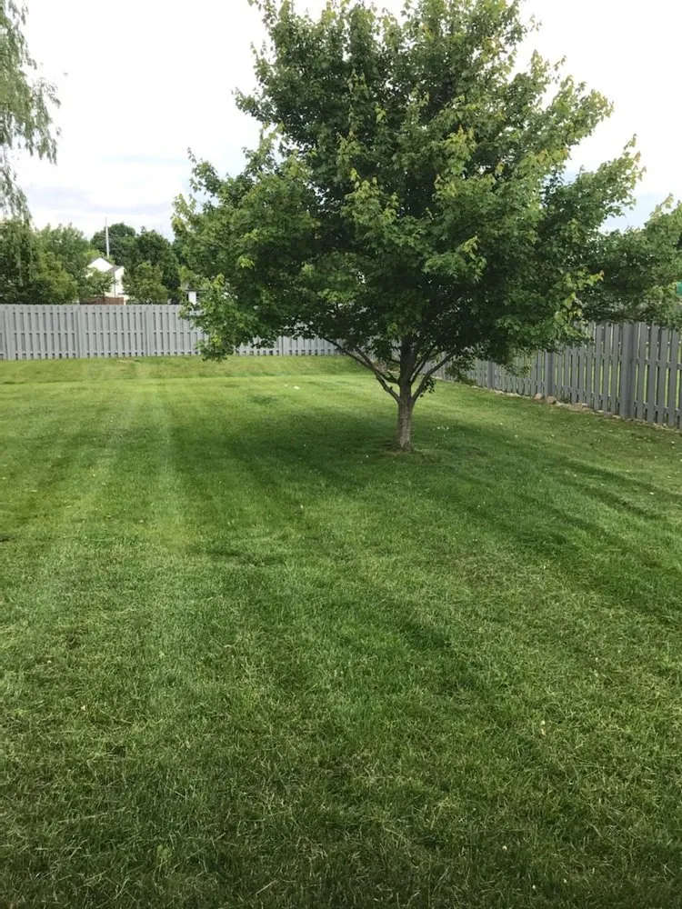 Affordable outdoor landscaping in Westfield, IN by Green Cutters