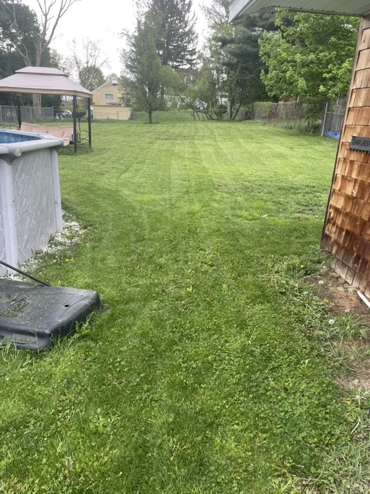 Reliable lawn care service for homes across Binghamton, NY - Green Cutz