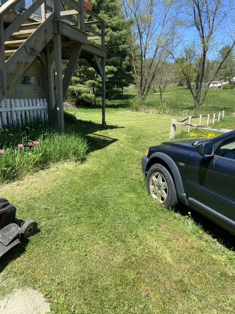 Trusted lawn care service experts serving Binghamton, NY - Green Cutz