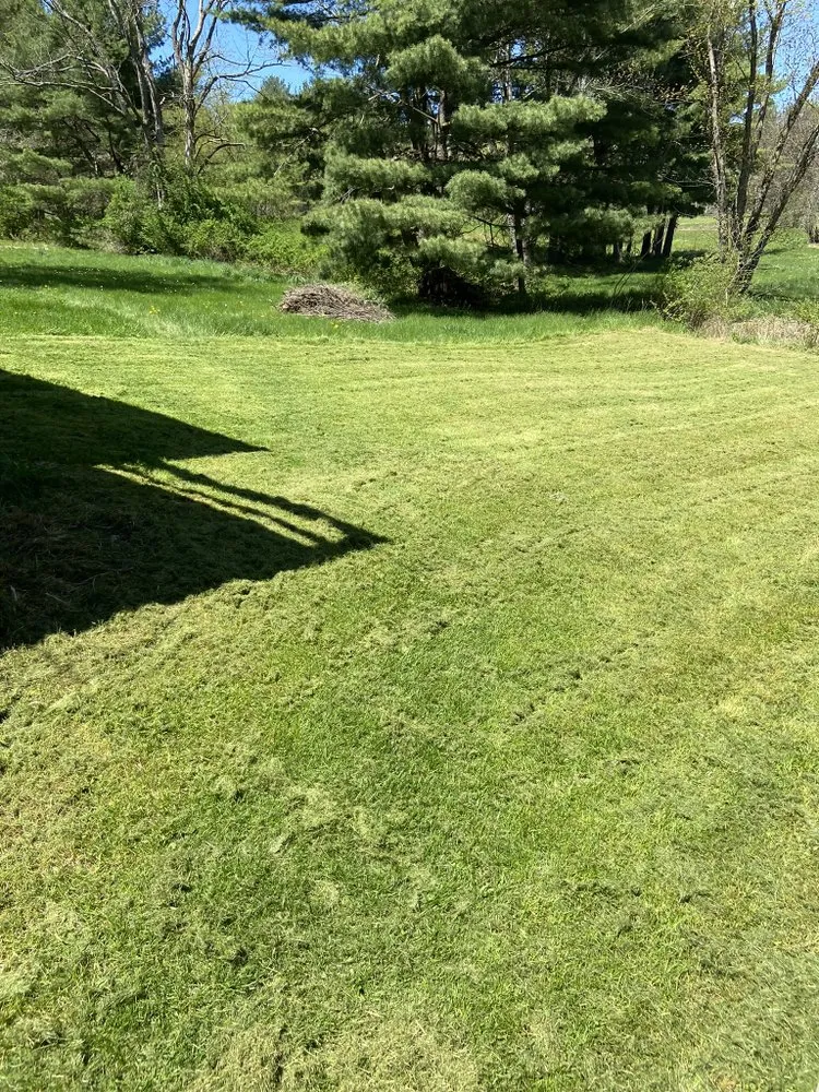 Expert residential landscaping for year-round maintenance in Binghamton, NY by Green Cutz