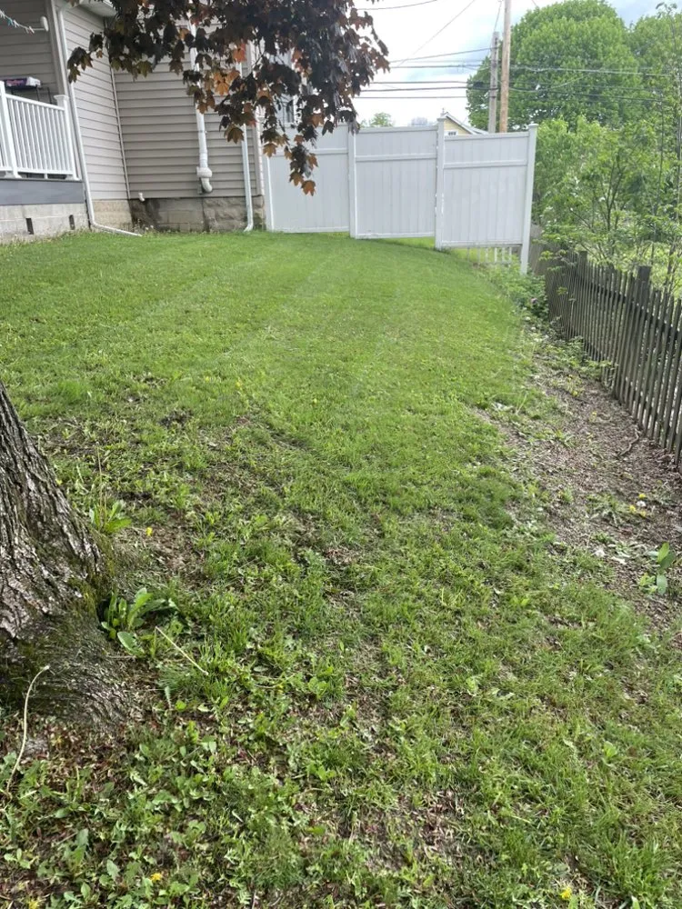 Top-rated yard maintenance for outdoor upgrades across Binghamton, NY - Green Cutz