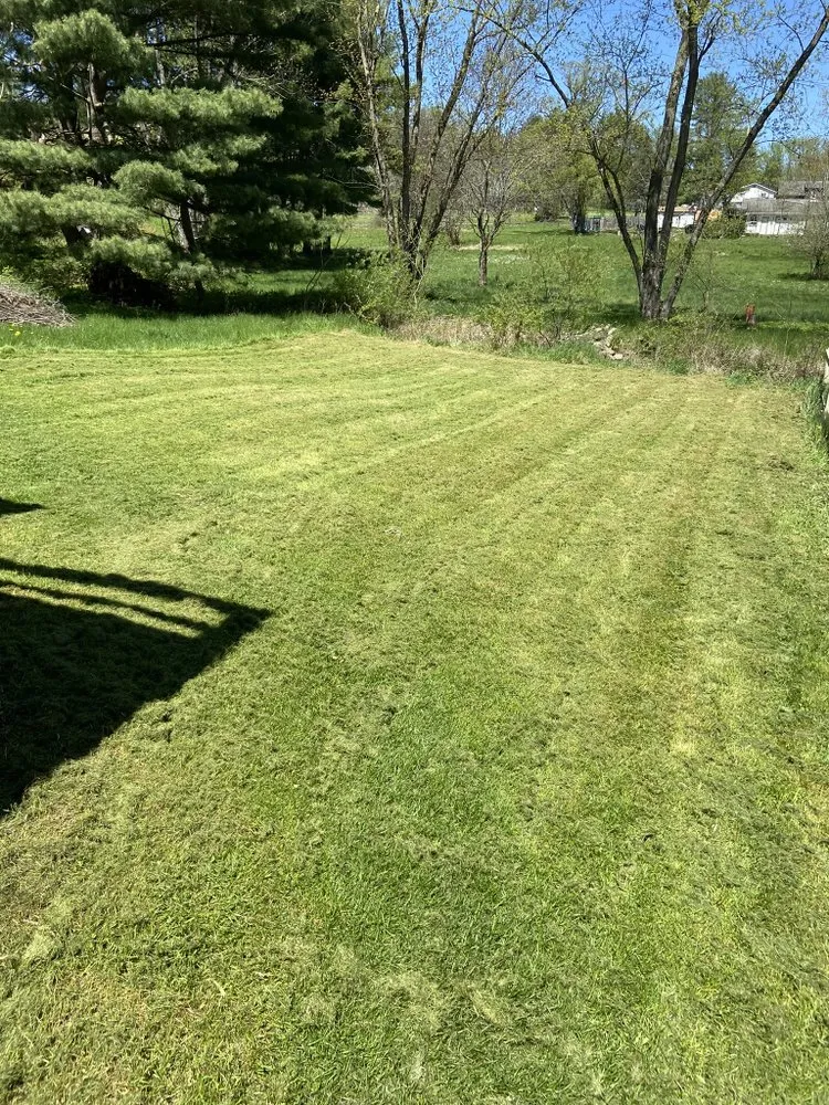 Professional landscape design with custom design across Binghamton, NY - Green Cutz