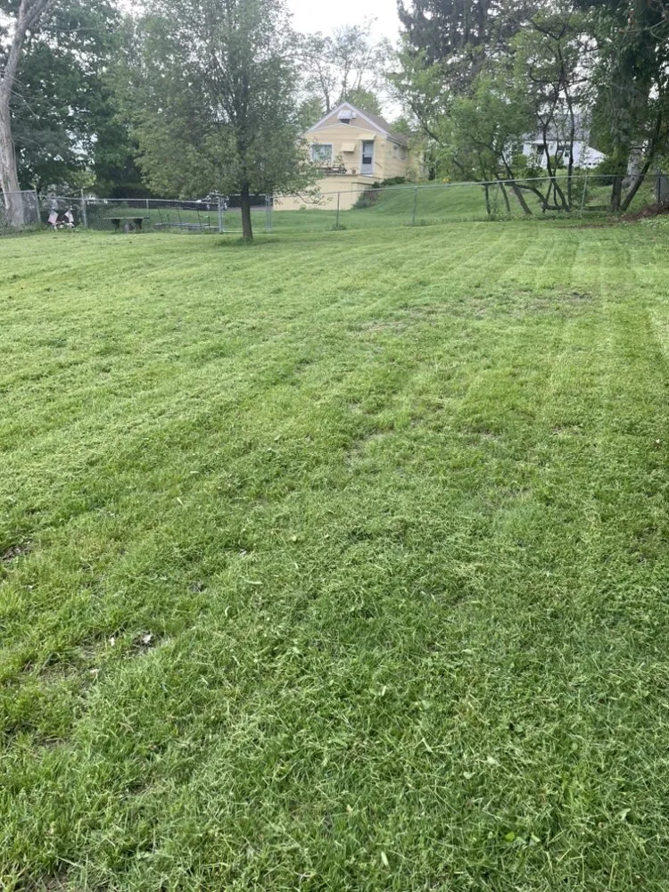 Affordable yard maintenance in Binghamton, NY by Green Cutz