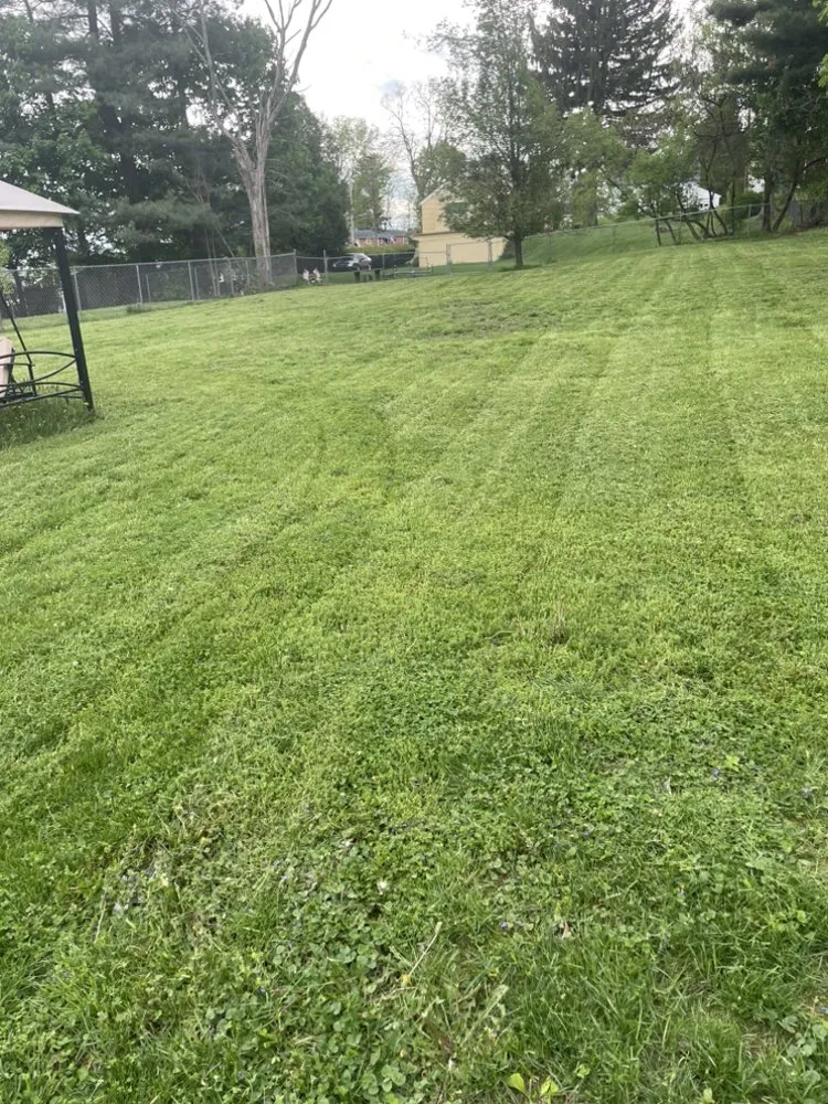Custom lawn mowing service in Binghamton, NY - Green Cutz