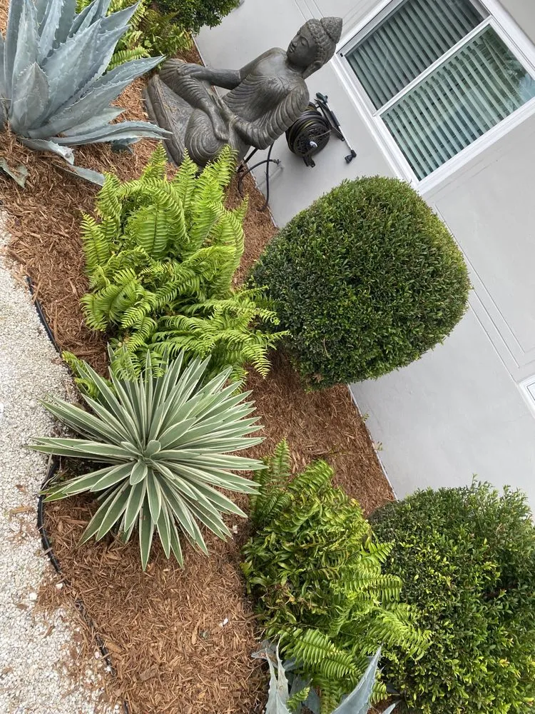 Top-rated yard cleanup service with custom design across Miami Shores, FL - Green Cutz Landscaping