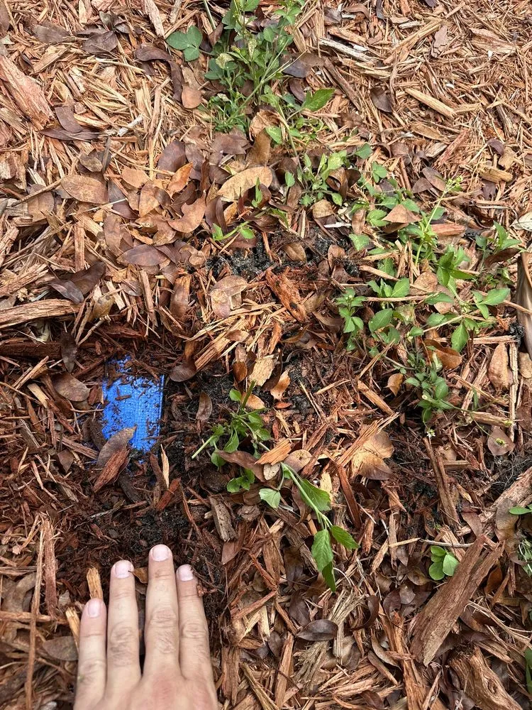 Reliable landscape installation in Miami Shores, FL - Green Cutz Landscaping