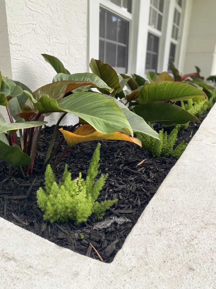 Professional landscaping services in Miami Shores, FL - Green Cutz Landscaping