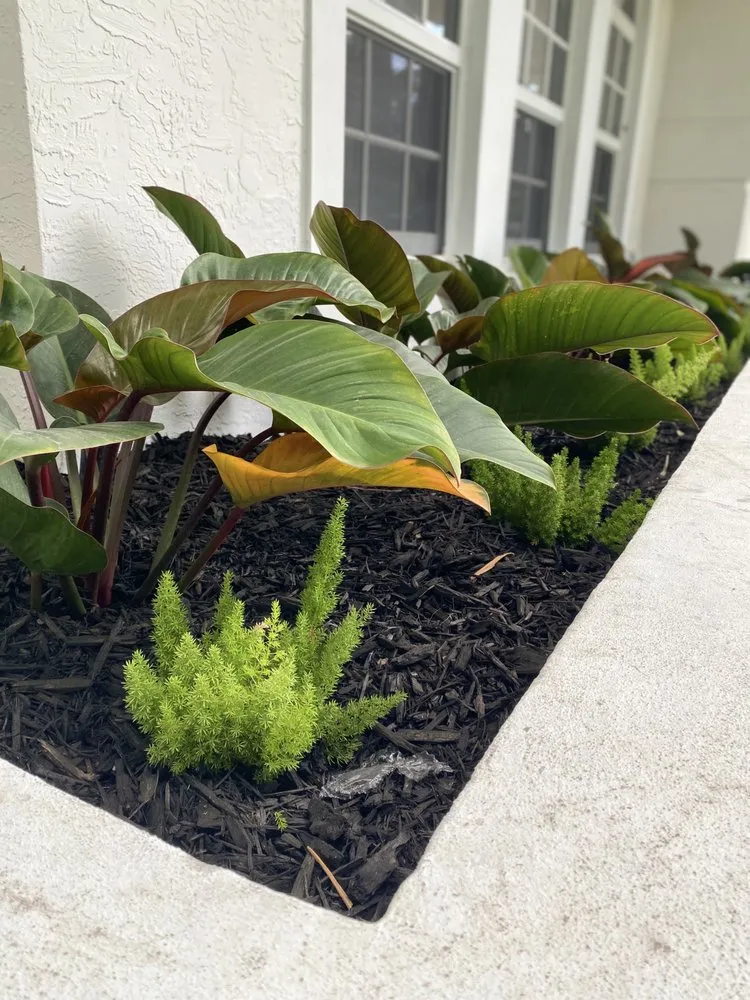 Trusted lawn care service for residential properties across Miami Shores, FL - Green Cutz Landscaping