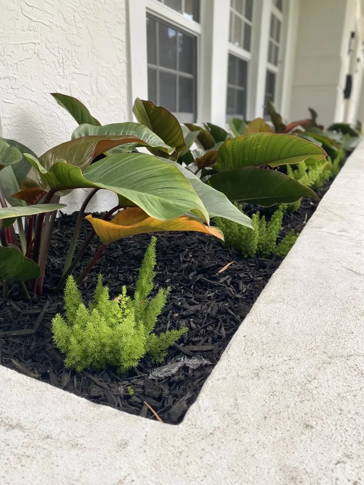 Expert residential landscaping experts serving Miami Shores, FL - Green Cutz Landscaping