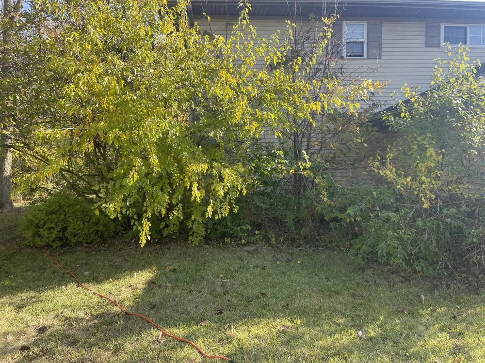 Trusted outdoor landscaping experts serving Dayton, OH - Green Cutz Lawn Care Service
