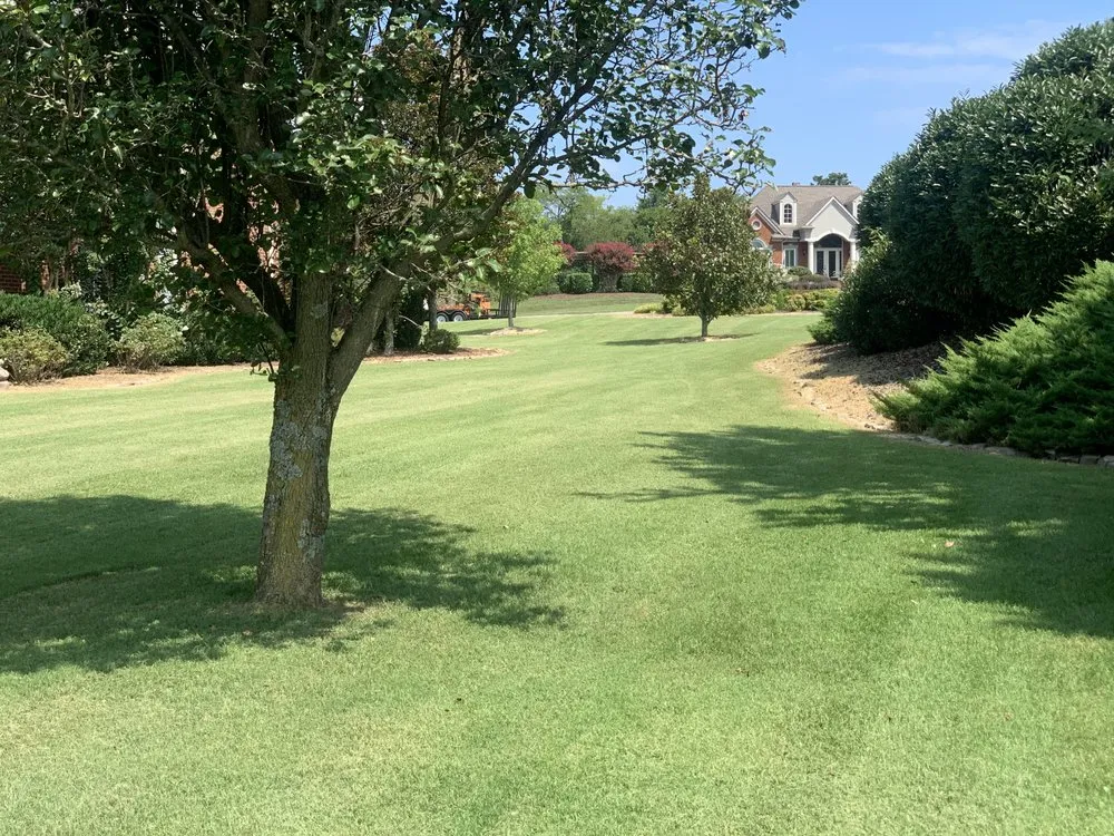 Affordable landscape installation in Spring Hill, TN - Green Cutz Lawn Care