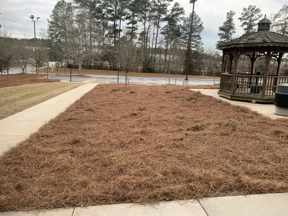 Custom yard cleanup service experts serving Spring Hill, TN - Green Cutz Lawn Care