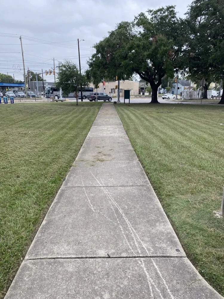 Professional landscaping services in Houston, TX by Green Cutzz