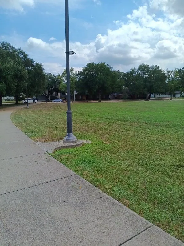 Custom residential landscaping experts serving Houston, TX - Green Cutzz