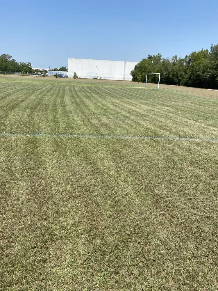 Affordable outdoor landscaping in Houston, TX by Green Cutzz