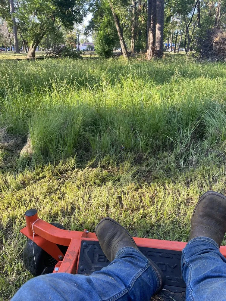 Local landscaping services experts serving Houston, TX - Green Cutzz