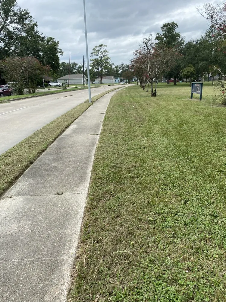 Reliable landscape installation in Houston, TX - Green Cutzz