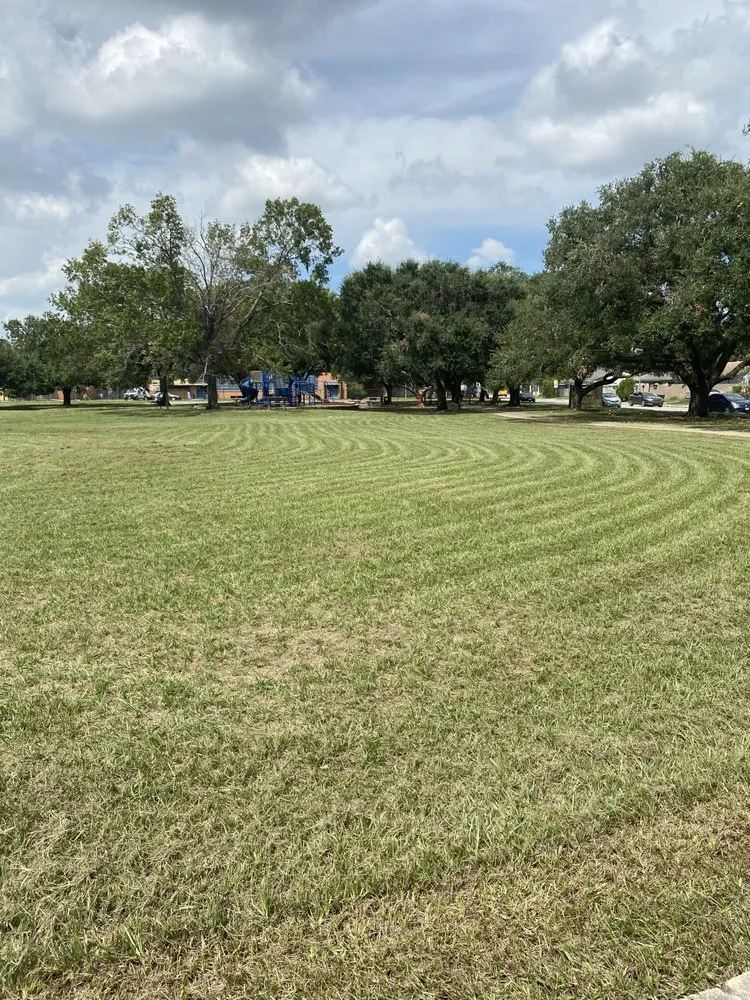 Reliable landscape design experts serving Houston, TX - Green Cutzz