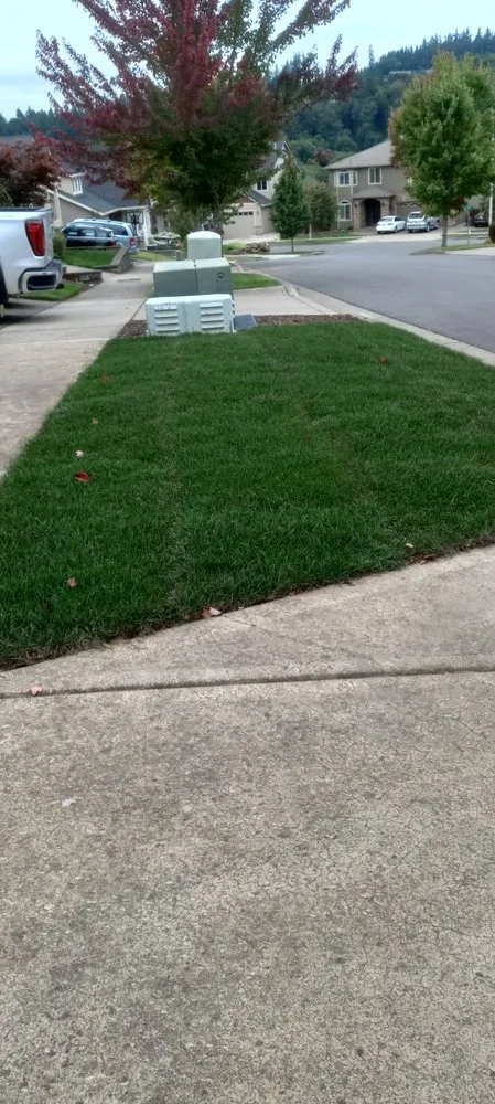 Reliable landscaping services for year-round maintenance across Salem, OR - Green D M Landcare