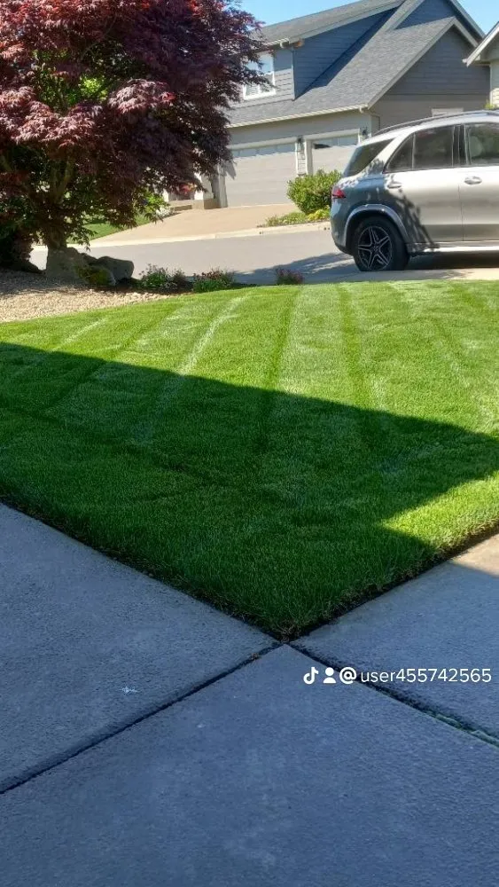 Professional lawn mowing service in Salem, OR by Green D M Landcare