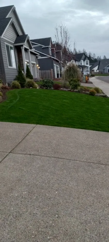 Local yard cleanup service for outdoor upgrades across Salem, OR - Green D M Landcare