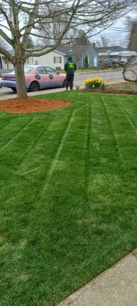 Expert landscaping services for outdoor upgrades across Salem, OR - Green D M Landcare