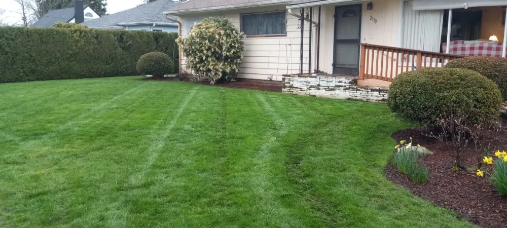 Reliable lawn care service experts serving Salem, OR - Green D M Landcare