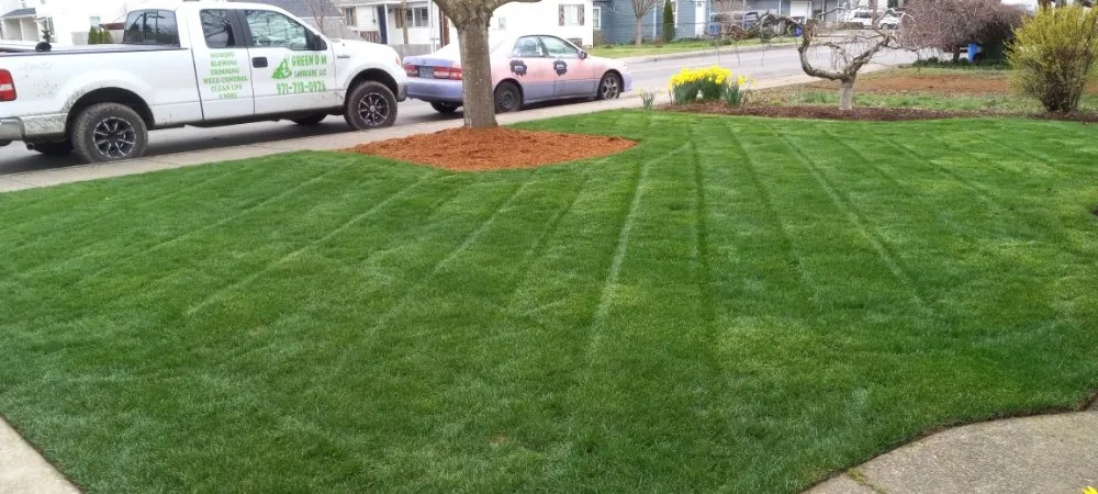 Local landscape installation near you across Salem, OR - Green D M Landcare