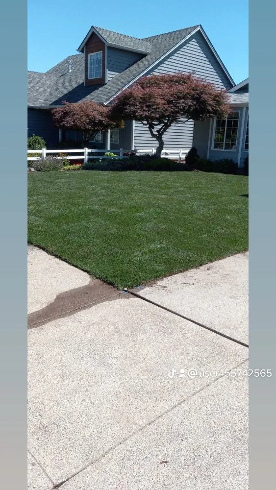 Top-rated yard cleanup service for year-round maintenance in Salem, OR by Green D M Landcare