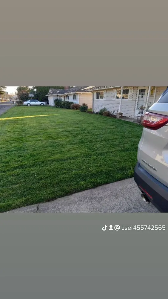 Reliable residential landscaping experts serving Salem, OR - Green D M Landcare